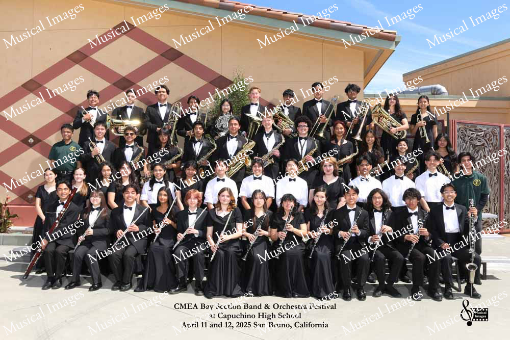 Musical Images